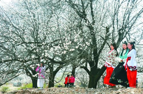 金丝猴jsh99cc官网版 智能控制中心